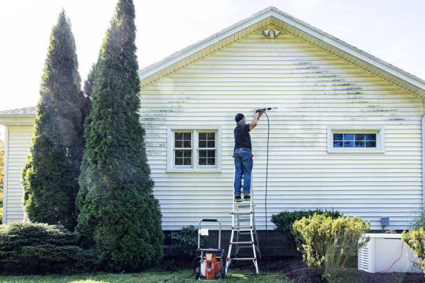 Best Roof Pressure Washing  in Wilber, NE
